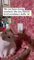 360x640