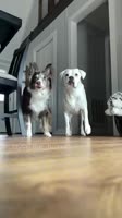 360x640