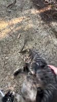 360x640