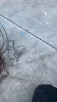 360x640