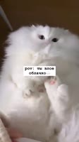 360x640