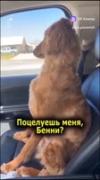 406x720