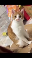360x640