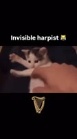 360x638