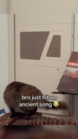 360x640