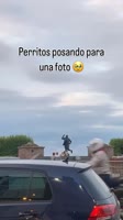720x1280