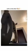 360x640