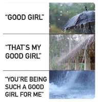 736x769