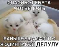 1078x862