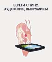 736x868