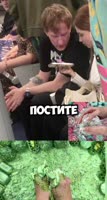 460x854