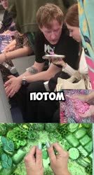460x854