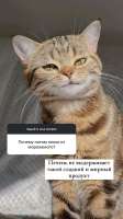 828x1472