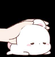 276x284