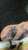 576x1024