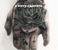 666x576