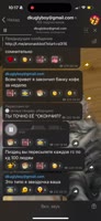 886x1920