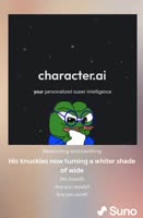 384x582