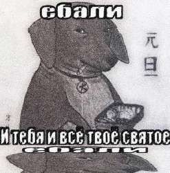 540x545