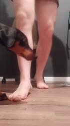 720x1280