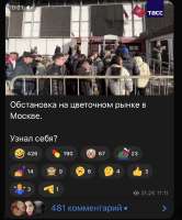 736x886