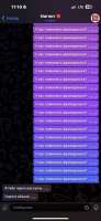 590x1280