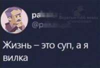 800x544
