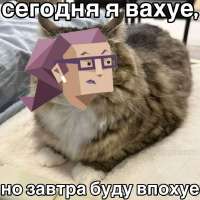 736x736