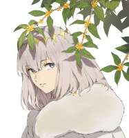 1007x1075
