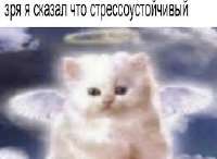 263x192
