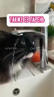 360x640