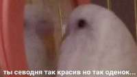 655x369