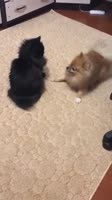 360x640