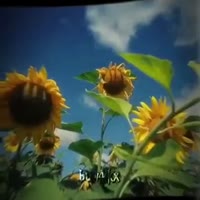 360x360