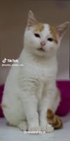 322x640