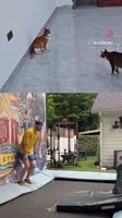 720x1280
