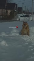 360x640