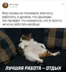 532x576