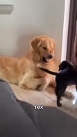 360x640