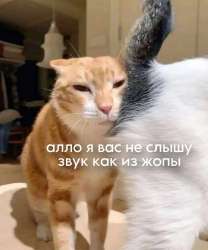 720x863