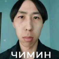 736x736