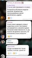 620x1124