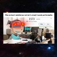 736x736