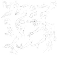 2500x2500