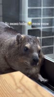 720x1278