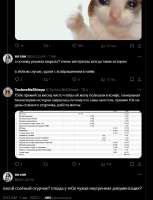 624x815