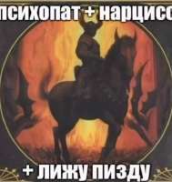 736x776