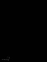 576x768