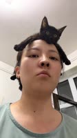 720x1280