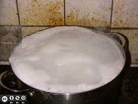 41